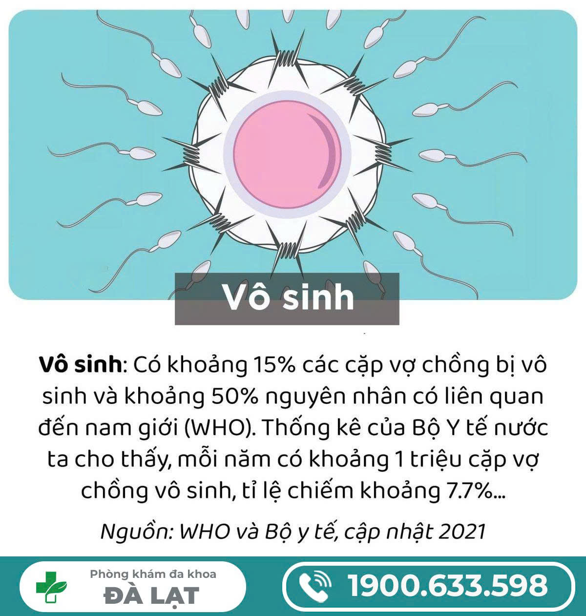 Hình ảnh minh họa